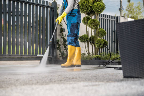 Best Soft Washing  in Coeburn, VA